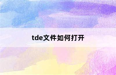 tde文件如何打开