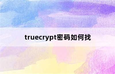 truecrypt密码如何找