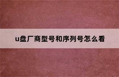 u盘厂商型号和序列号怎么看