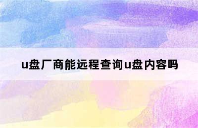 u盘厂商能远程查询u盘内容吗