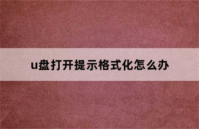 u盘打开提示格式化怎么办