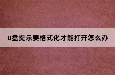 u盘提示要格式化才能打开怎么办