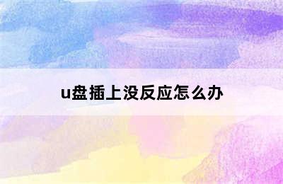 u盘插上没反应怎么办