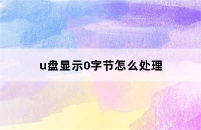 u盘显示0字节怎么处理