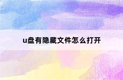 u盘有隐藏文件怎么打开