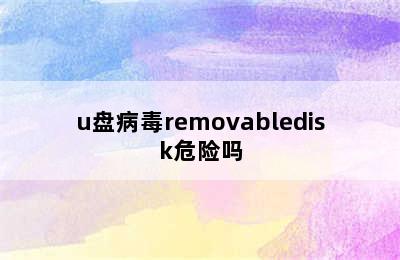 u盘病毒removabledisk危险吗