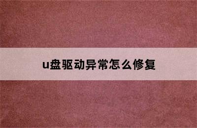 u盘驱动异常怎么修复