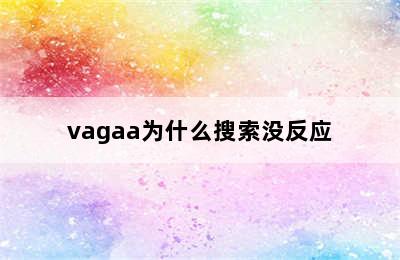 vagaa为什么搜索没反应