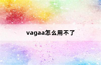 vagaa怎么用不了