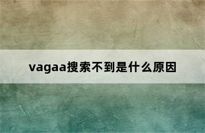 vagaa搜索不到是什么原因