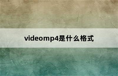 videomp4是什么格式