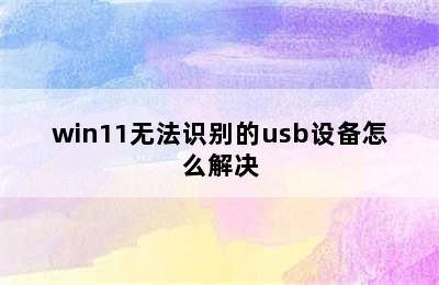 win11无法识别的usb设备怎么解决