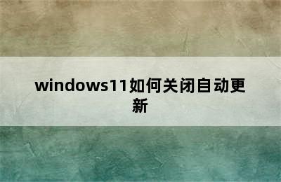 windows11如何关闭自动更新