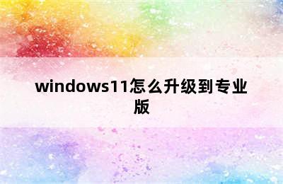 windows11怎么升级到专业版