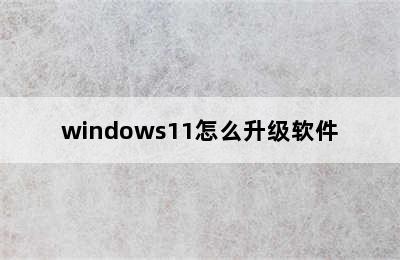 windows11怎么升级软件