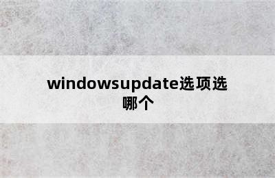 windowsupdate选项选哪个