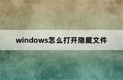 windows怎么打开隐藏文件