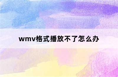 wmv格式播放不了怎么办