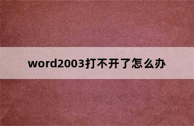 word2003打不开了怎么办