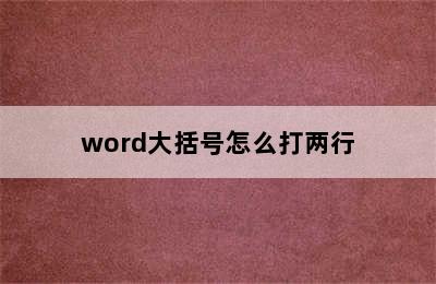 word大括号怎么打两行