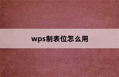 wps制表位怎么用