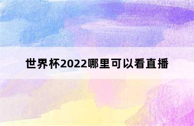 世界杯2022哪里可以看直播