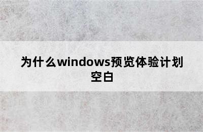 为什么windows预览体验计划空白