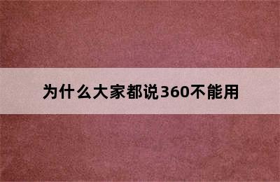 为什么大家都说360不能用