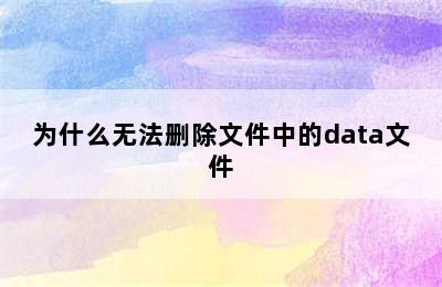 为什么无法删除文件中的data文件