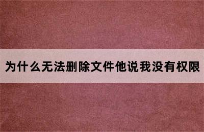 为什么无法删除文件他说我没有权限