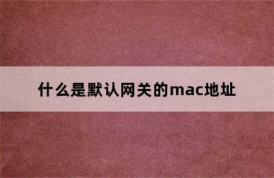 什么是默认网关的mac地址