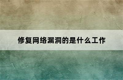 修复网络漏洞的是什么工作