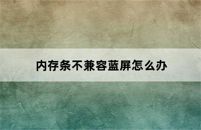 内存条不兼容蓝屏怎么办