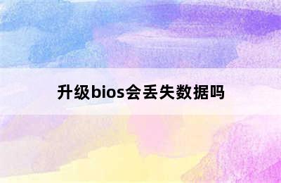 升级bios会丢失数据吗