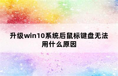 升级win10系统后鼠标键盘无法用什么原因