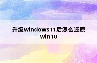 升级windows11后怎么还原win10