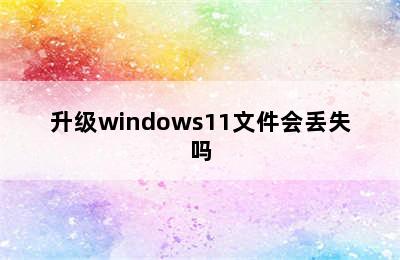 升级windows11文件会丢失吗