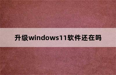 升级windows11软件还在吗