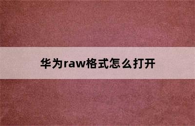 华为raw格式怎么打开