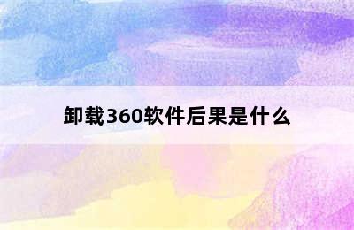 卸载360软件后果是什么