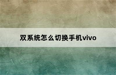 双系统怎么切换手机vivo