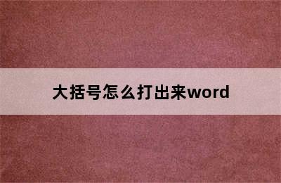 大括号怎么打出来word