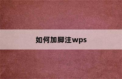 如何加脚注wps