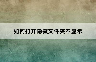 如何打开隐藏文件夹不显示