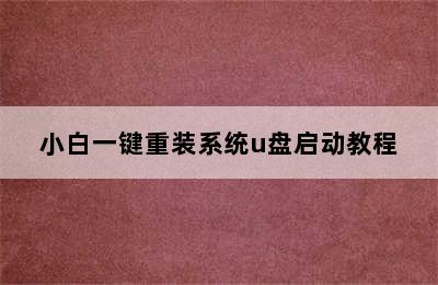 小白一键重装系统u盘启动教程