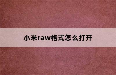 小米raw格式怎么打开