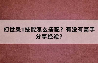 幻世录1技能怎么搭配？有没有高手分享经验？