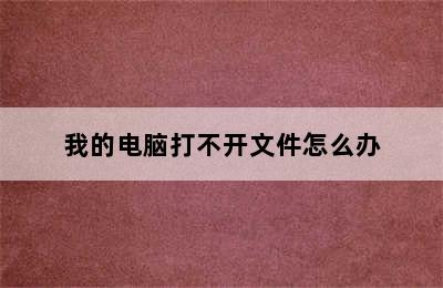 我的电脑打不开文件怎么办