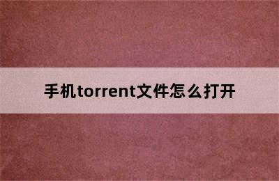 手机torrent文件怎么打开