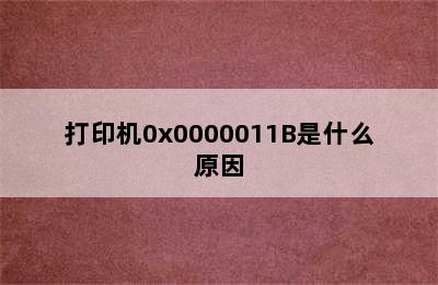 打印机0x0000011B是什么原因